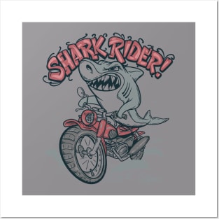 Shark Rider California Posters and Art